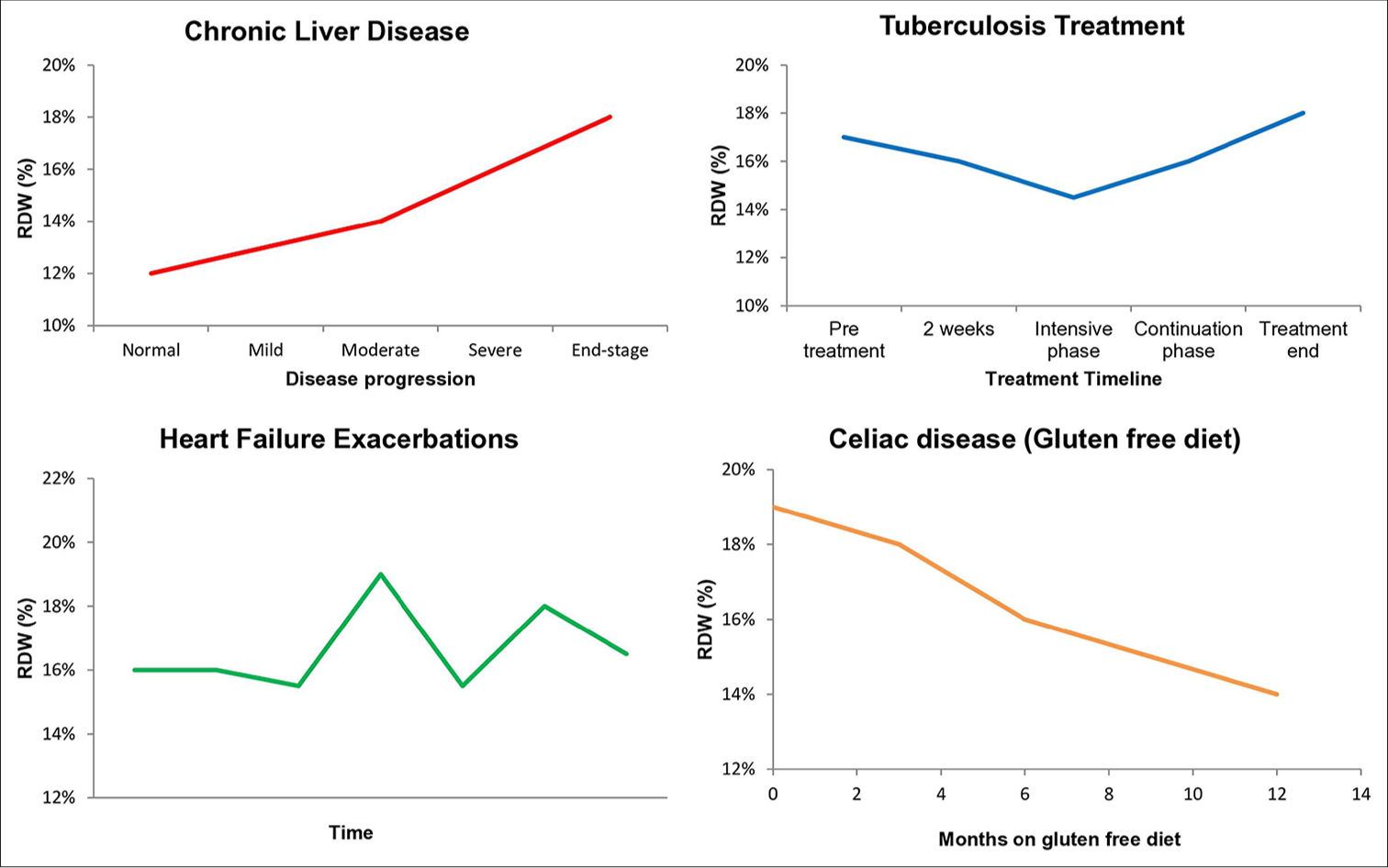 RDW trends in various clinical conditions over time. RDW: Red cell distribution width.
