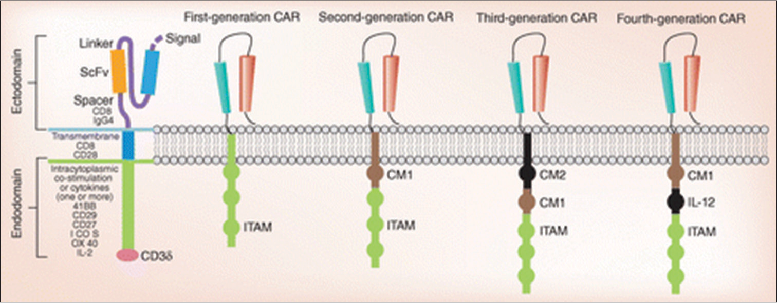 Composition of a chimeric antigen receptor and the generations of chimeric antigen receptors. CAR: Chimeric antigen receptors, ITAM: Immunoreceptor tyrosine-based activation motifs, IL: Interleukin-2.