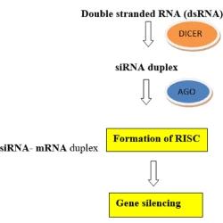 Article figure